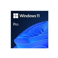 Software Microsoft Win 11 Pro Ggk 64Bit Eng Intl 1Pk Dsp Ort Oei Dvd Oem English 4Yr-00316
