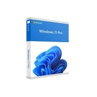 Microsoft Sw Ret Win 11 Pro Fpp 64B/Eng Usb Hav-00163 Ms