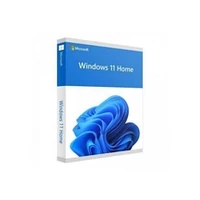Microsoft Sw Ret Win 11 Home Fpp 64B/Eng Usb Haj-00090 Ms