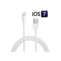 Tel1 Lightning to Usb Data / Charger Cable for iPhone 5 5S 5C iPad mini iOs 7 x compatible