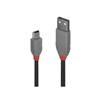 Lindy Cable Usb2 A To Mini-B 2M/Anthra 36723