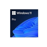 Microsoft Ms Esd Win Pro 11 64-Bit