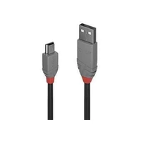 Lindy Cable Usb2 A To Mini-B 1M/Anthra 36722