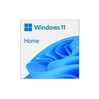 Microsoft Ms Esd Win Home 11 64-Bit
