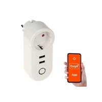 Genway Smart Home Wifi Socket/Usb Atlo-P1U2-Tuya