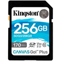 Kingston Canvas Go Plus 256Gb  Sdg3/256Gb 740617301519