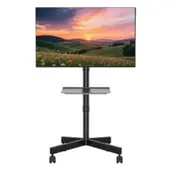 Tv stiprinājums Gembird 32 - 55 floor stand with caster wheels  Tvs-55T-03 8716309135467