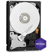 Cietais disks Western Digital Purple 1Tb  Wd11Purz 718037896687