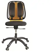Fellowes  Chair Mesh Back Support/9191301 9191301 043859600434