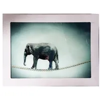 Stikla fotoglezna Zirkus Elefant 90X120Cm  189395 4051901015316 72045022