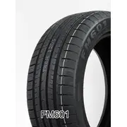 Firemax Fm601 255/30R19 91W  Fmx00098