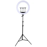 Led Ring Lamp 45Cm With Desktop Tripod Mount Up To 2.1M  Tbd01123671 9990000940752