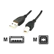 Kabelis Gembird Usb Male - B 3M Black  Ccp-Usb2-Ambm-10 8716309041980