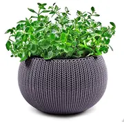 Puķu pods karināms Cozy M With Hanging Set violets  29202379610 7290106929890