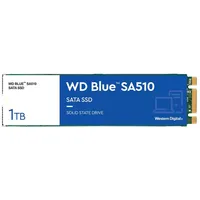 Western Digital Blue Sa510 1Tb M.2  Wds100T3B0B 0718037884707