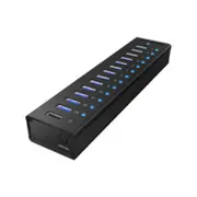Kabelis Icy box  Icybox Ib-Ac6113 13 Port Usb 3.0 4250078160601