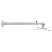 Projector Acc Wall Mount/Beamer-W100Silver Neomounts  Beamer-W100Silver 8717371442330