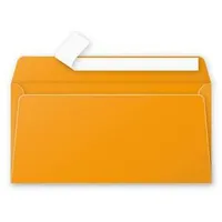 Aploksne E65 110X220 gaiši oranža krāsa  Clrf54950