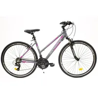 Rocksbike  Bicycle City Comfort W/R28 F18 Gr/Pnk 8681933422255