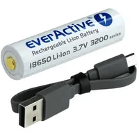 Everactive 18650 Li-On, 3.7V 31000MMicro-Usb kabelis