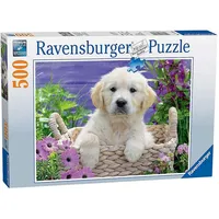 Ravensburger Puzzle 14829 - Cute Golden Retriever 500 gabaliņi 4005556148295