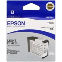 Epson ink cartridge light black for Stylus Pro 3800, 80Ml C13T580900