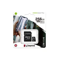 Kingston Canvas Select Plus Uhs-I 256 Gb Microsdxc Flash memory class 10 Sd Adapter
