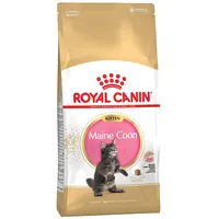 Royal Canin Karma  Fbn Kitten Maine Coon 36 2 kg

