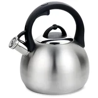 Maestro Mr-1311 electric kettle
