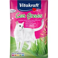 No name Vitakraft Cat Grass grass seeds treat for cats 50G
