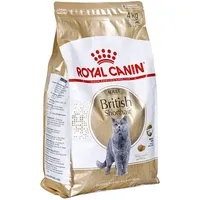 Royal Canin British Shorthair Adult cats dry food 4 kg
