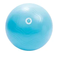 Pure2Improve Antiburst Yogaball 65 cm Blue