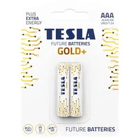 Tesla alkaline battery R3 Aaa Gold 2X120 2 pcs