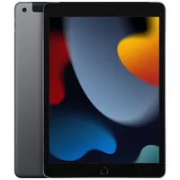 Apple iPad 10.2 WifiCell 9.Gen 256Gb Gy  Mk4E3Fd/A