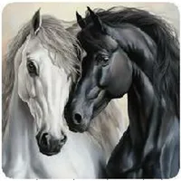 Norimpex Diamond mosaic - Two horses

