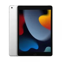 Apple iPad 10.2 WifiCell 9.Gen 256Gb Sr  Mk4H3Fd/A