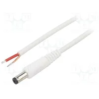 Cable 1X1Mm2 wires,DC 5,5/2,1 plug angled white 1.5M  A21-Tt-C100-150Wh