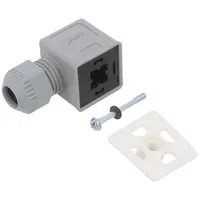 Accessories plug for coil Ip67 cool white,grey 250V  042N1256