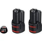 Bosch 1600A00X7D Battery  3165140894531 Wlononwcrbupg