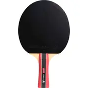 Cornilleau Sport 300  433000 3222764330002