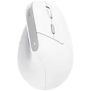 Trust Bayo Ii Bezvadu Pele 2400 Dpi  25398 8713439253986 Pertrumys0146