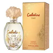 Debenhams Parfum Gres Cabotine Gold Eau De Toilette 100Ml in Misc  7640111492955 33030010