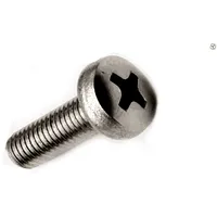Screw M2X10 0.4 Head cheese head Phillips A2 stainless steel  M2X10/D7985-A2