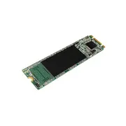 Silicon Power Ssd A55 256Gb M.2 Sata  Sp256Gbss3A55M28 4713436121749