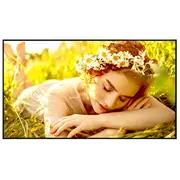 Lg 50Ul5Q-E Signage Display Digital signage flat panel 127 cm 50 Led Wi-Fi 500 cd/m² 4K Ultra Hd Black Webos 24/7  1786159 8806096602140 Wlononwcrtang