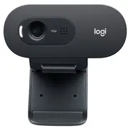 Logitech C505E Business Webcam Tīmekļa kamera  960-001372 097855163806