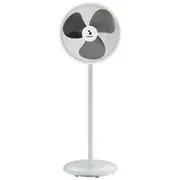 Beper P206Ven152  T-Mlx55021 8056420223521