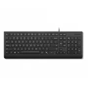 Lenovo Essential Wired Keyboard Us Euro Copilot  4Y41R64672 195892116424