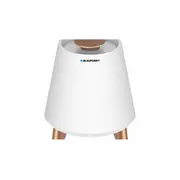 Blaupunkt Bt25Lamp  T-Mlx29070 5901750503047
