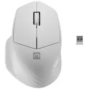 Natec Wireless Mouse Siskin 2 Bt 5.0  2.4Ghz Nmy-1972 5901969436655 Pernatmys0130